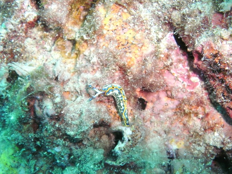 2012-09-19 15-20-46 Steven.JPG